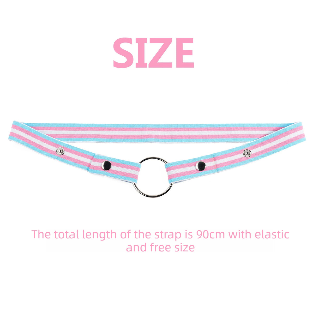 Trans Flag Chastity Harness