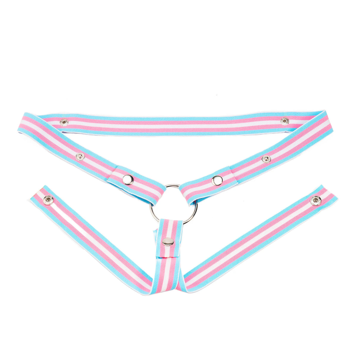 Trans Flag Chastity Harness