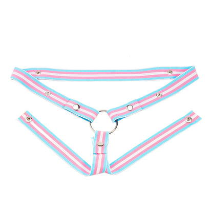 Trans Flag Chastity Harness