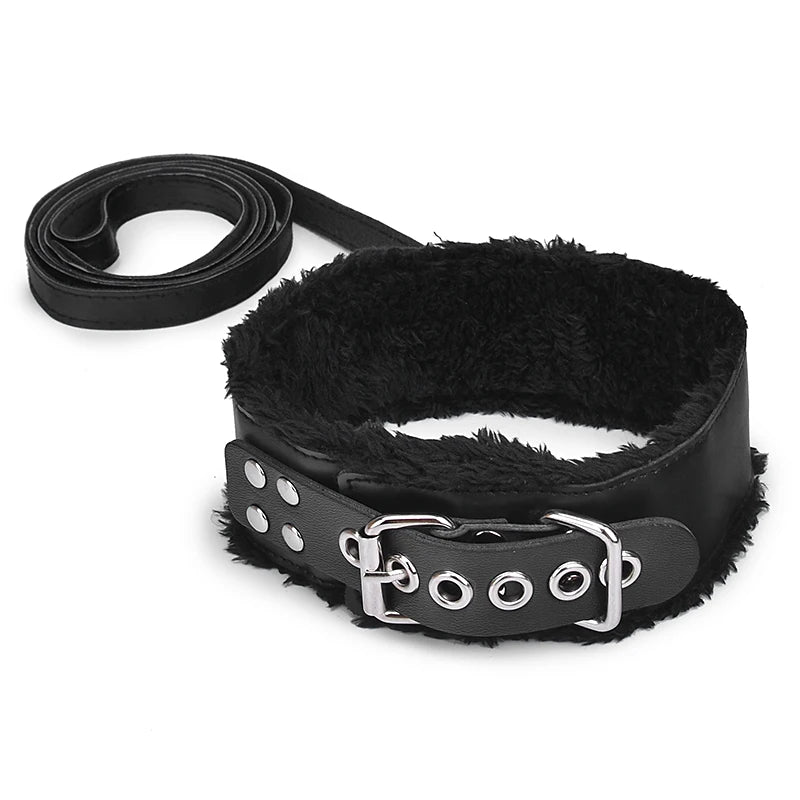 Padded Collar & Lead
