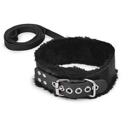 Padded Collar & Lead