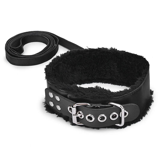 Padded Collar & Lead