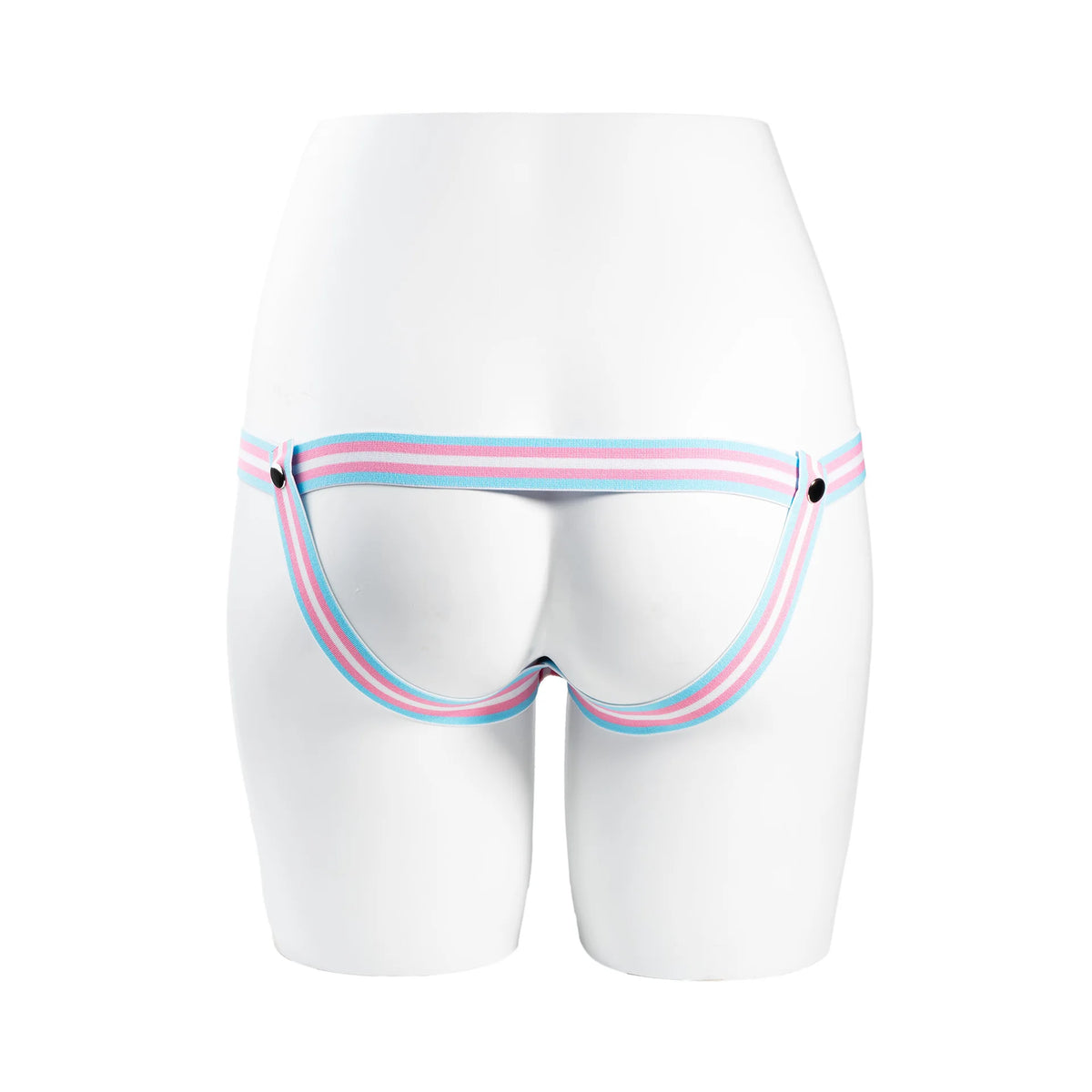 Trans Flag Chastity Harness
