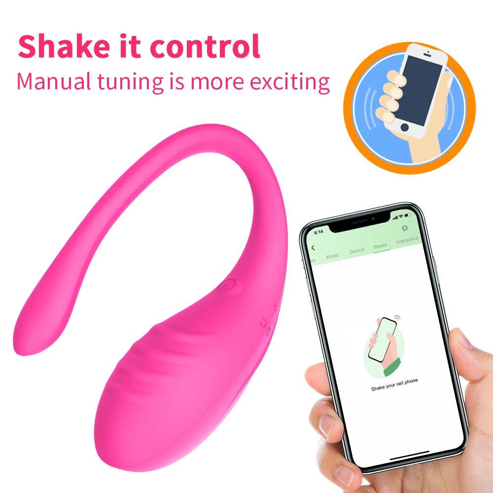 Remote Controlled Vaginal and Clitoral Vibrator