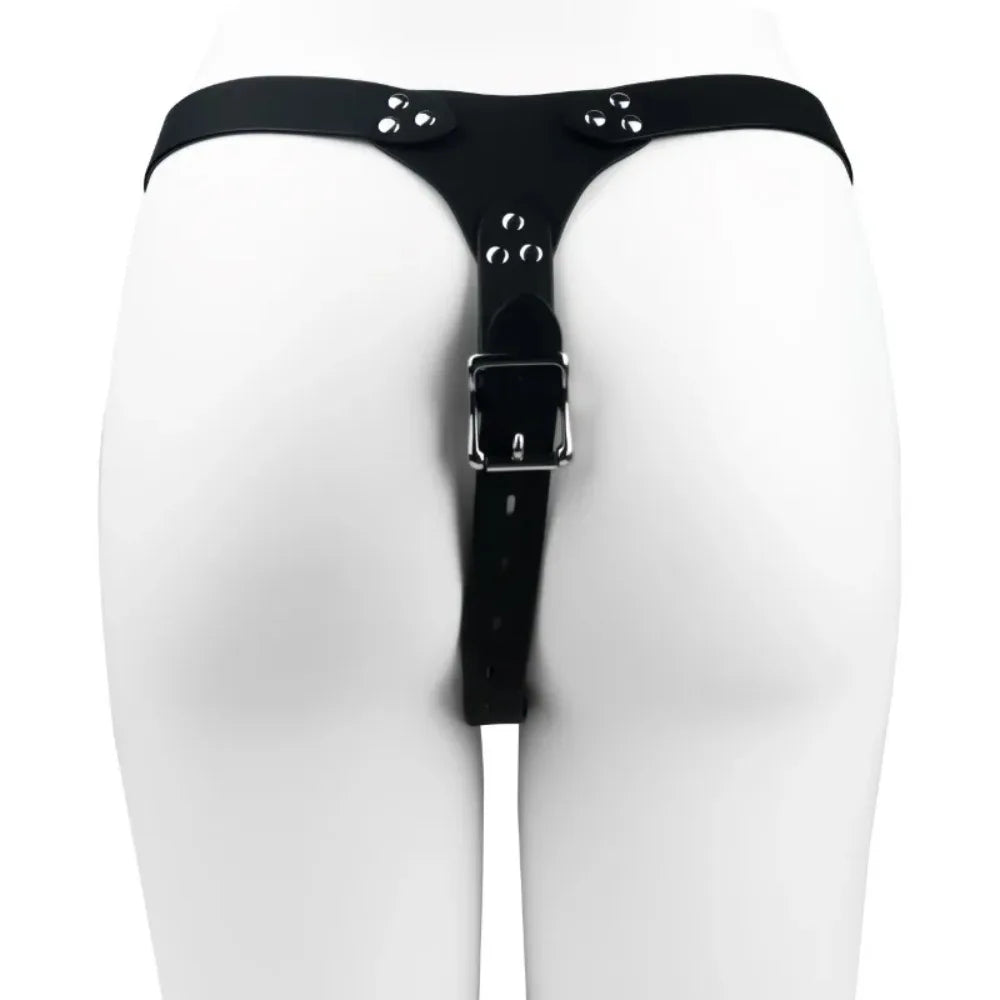 Chastity Support Harness