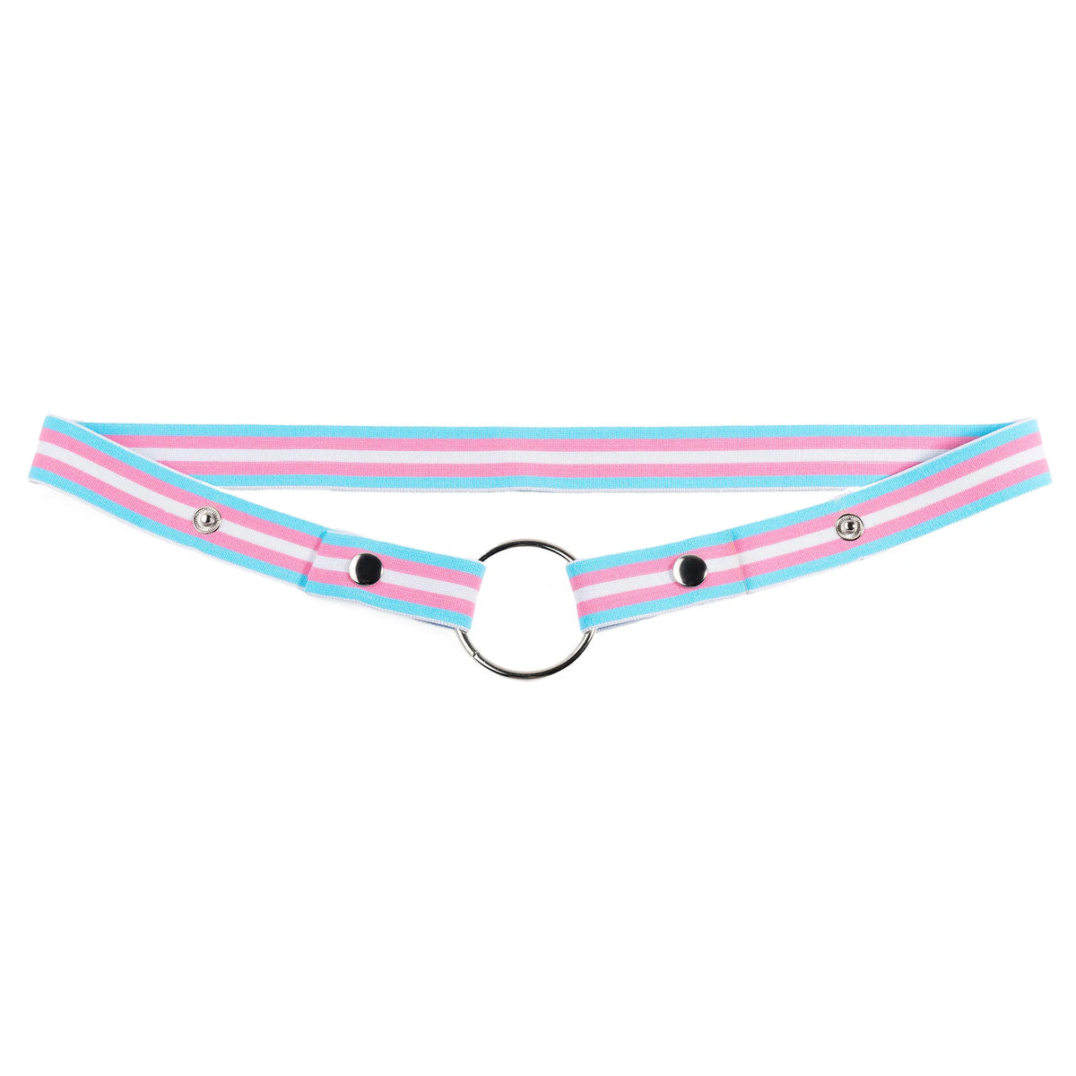 Trans Flag Chastity Harness