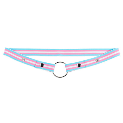 Trans Flag Chastity Harness