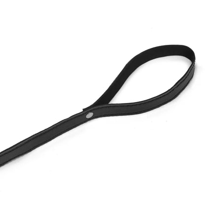 Padded Collar & Lead – alternative view 7