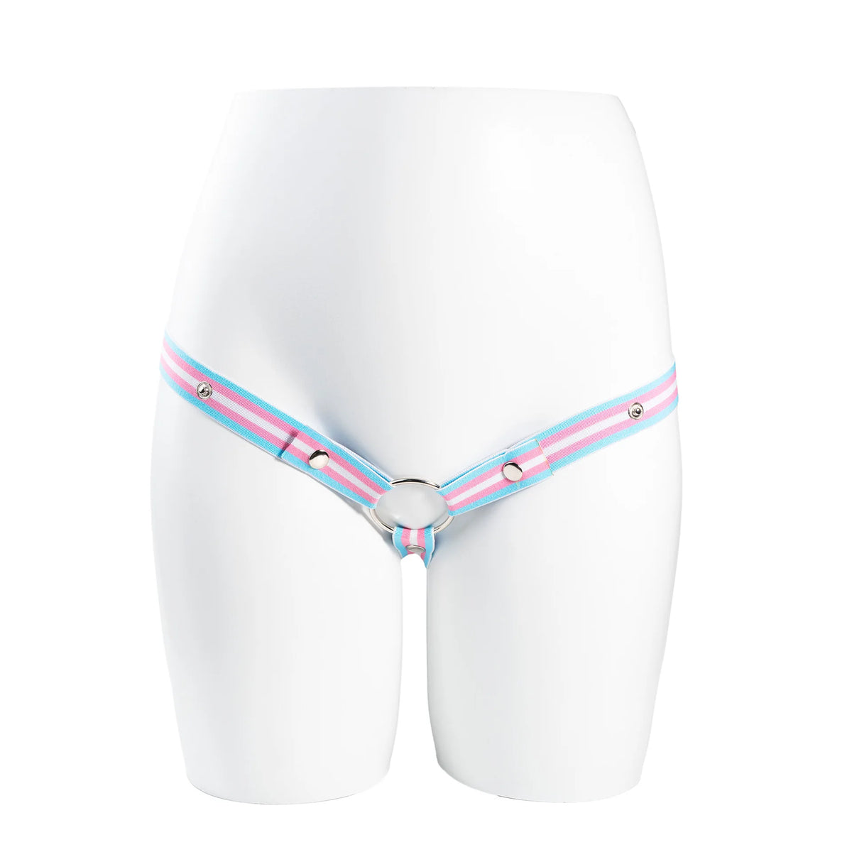 Trans Flag Chastity Harness