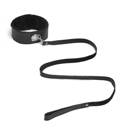 Padded Collar & Lead – alternative view 2