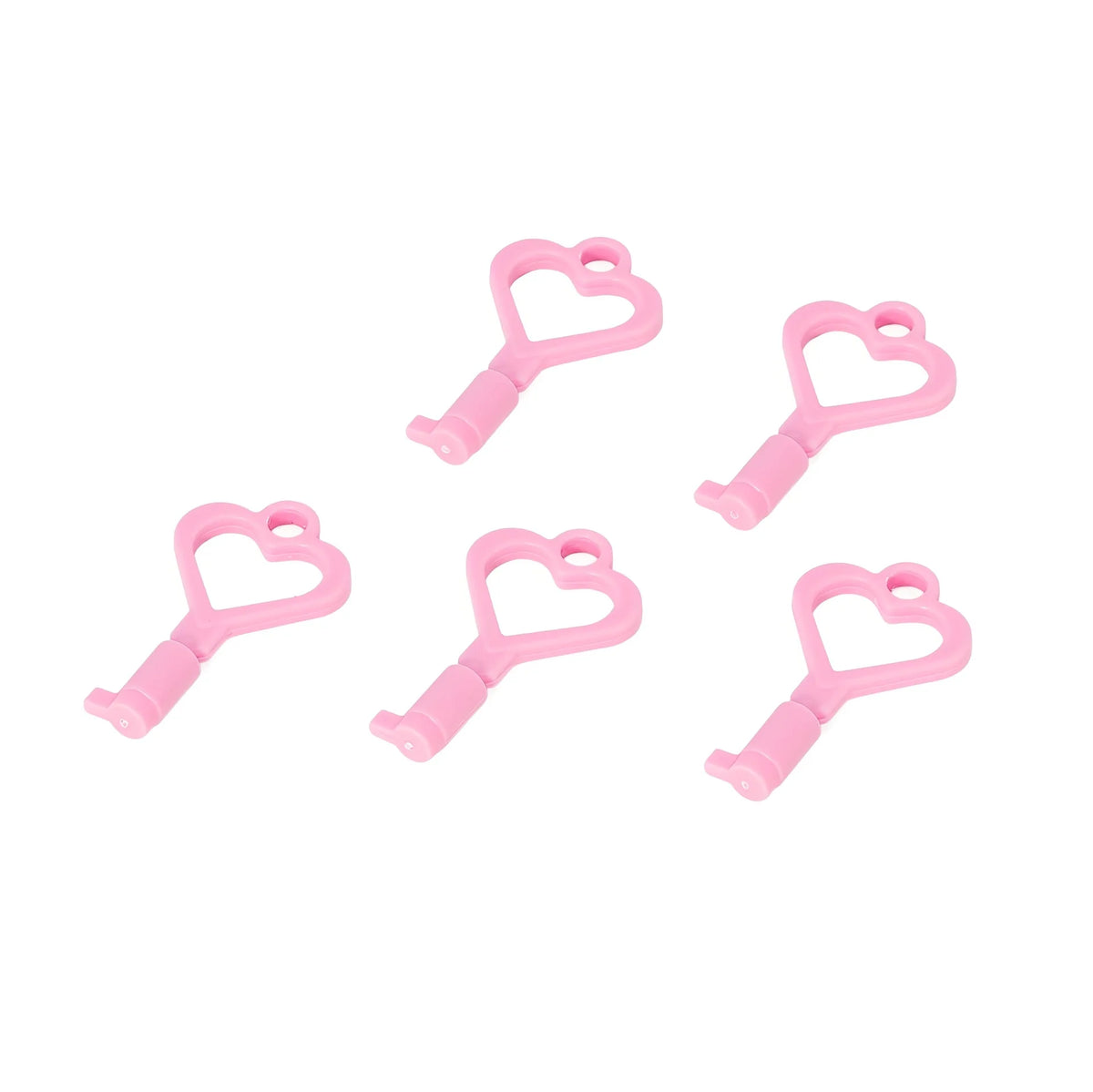 Plastic Chastity Locks (5 Pack) – alternative view 5