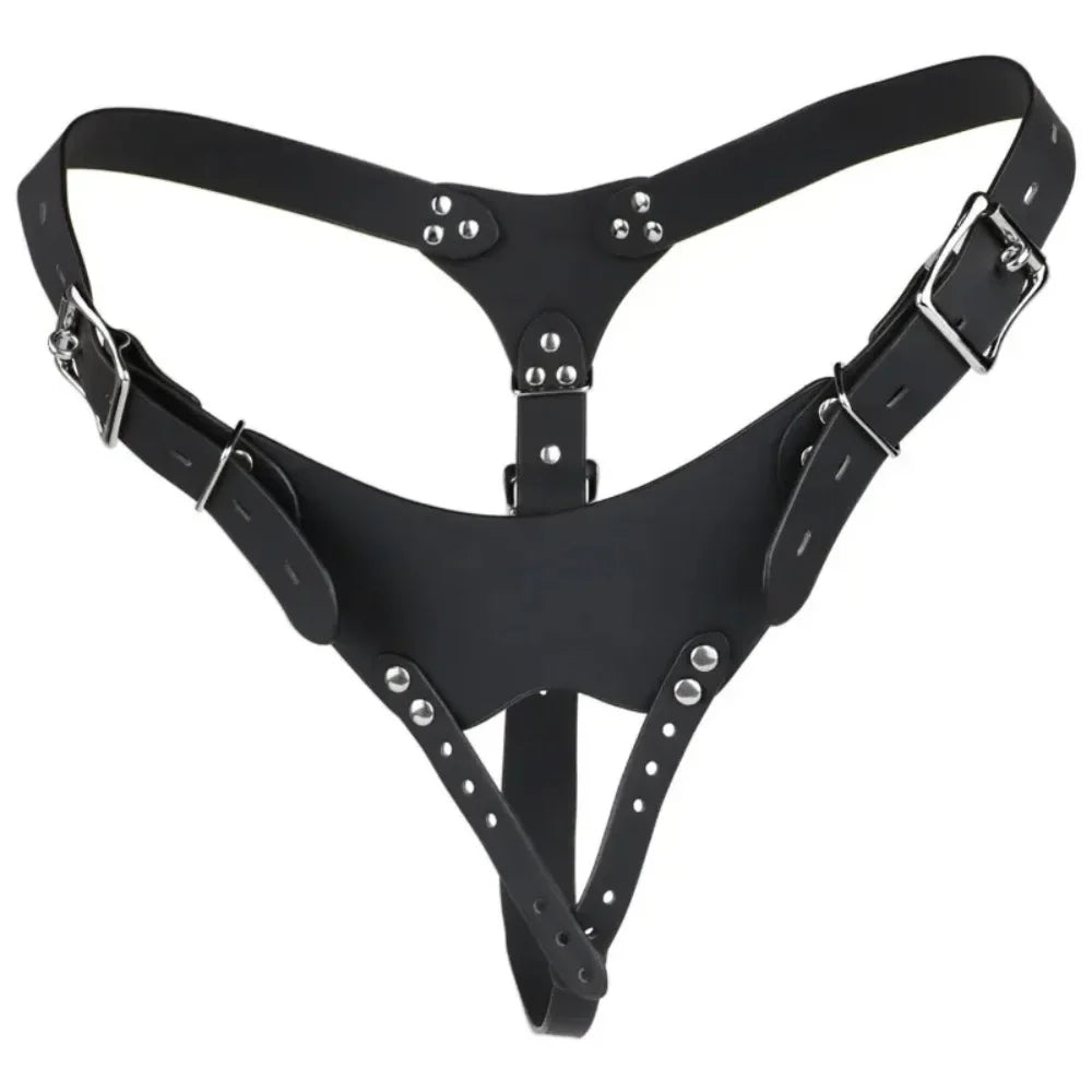 Chastity Support Harness