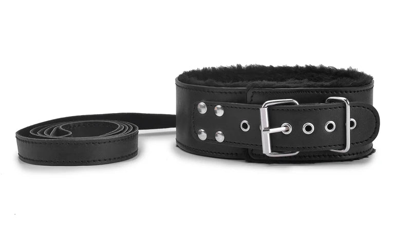 Padded Collar & Lead – alternative view 1