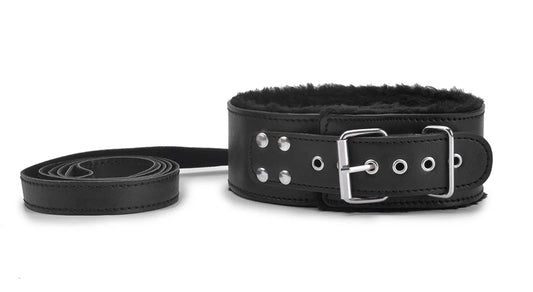 Padded Collar & Lead – alternative view 1
