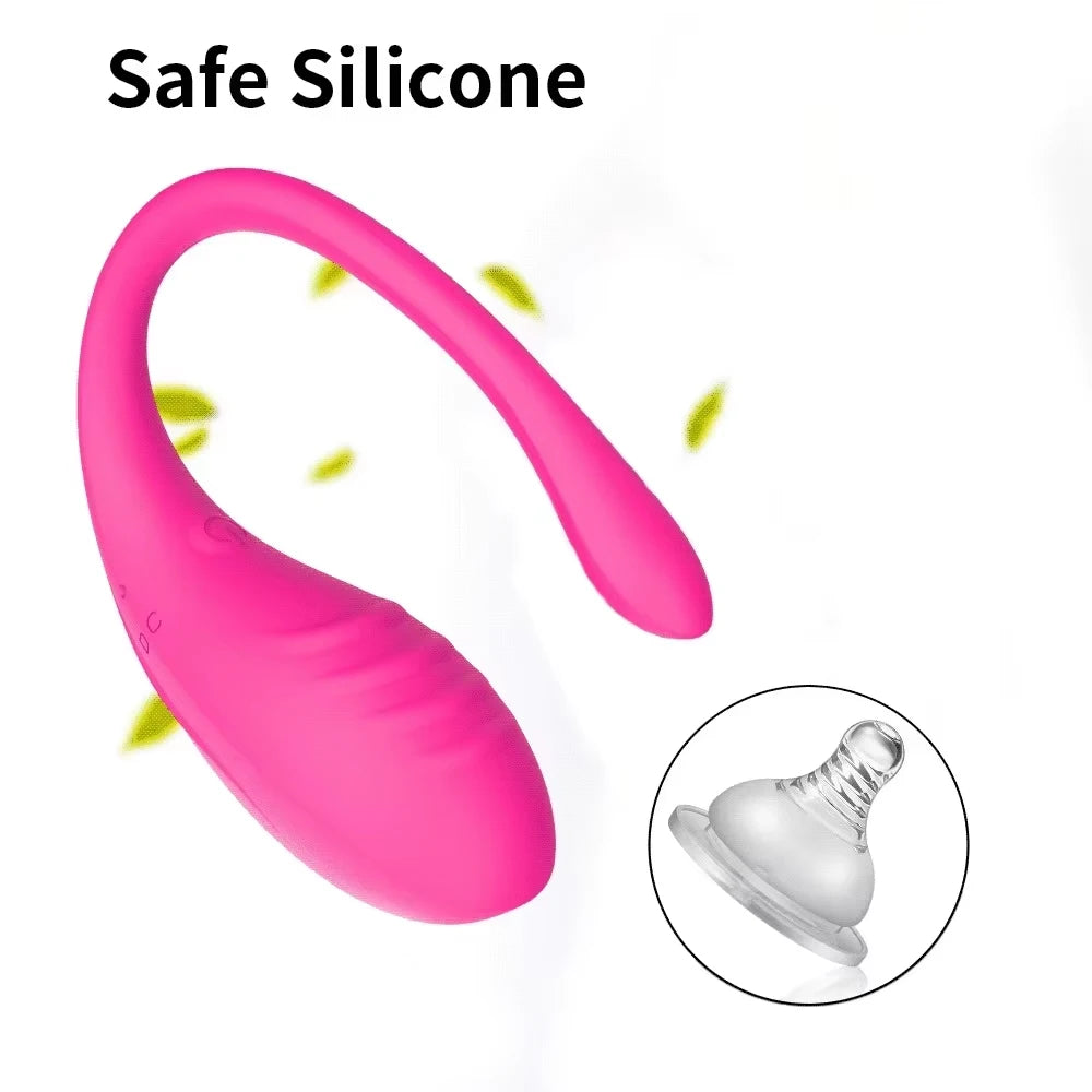 Remote Controlled Vaginal and Clitoral Vibrator