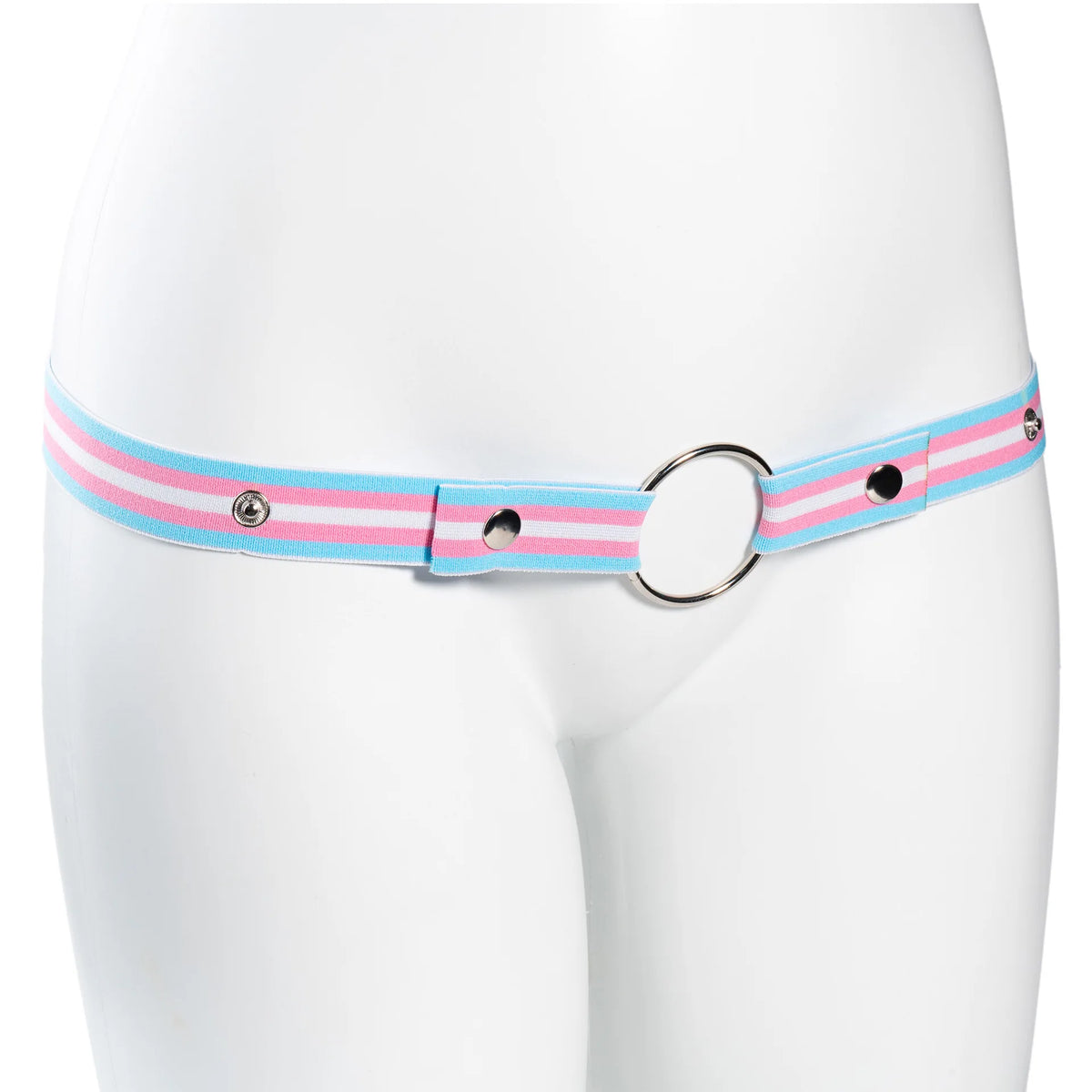 Trans Flag Chastity Harness