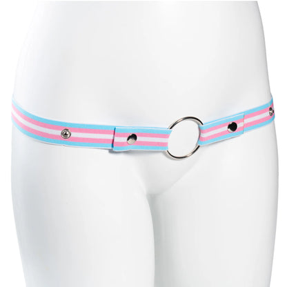 Trans Flag Chastity Harness