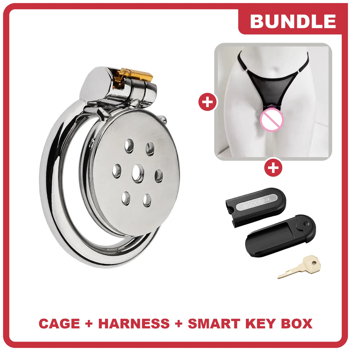 Chastity Starter Bundle: Aegis cage, adjustable harness and smart key box